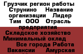 Грузчик(регион работы - Струнино) › Название организации ­ Лидер Тим, ООО › Отрасль предприятия ­ Складское хозяйство › Минимальный оклад ­ 32 000 - Все города Работа » Вакансии   . Амурская обл.,Мазановский р-н